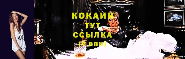 мяу мяу мука Арсеньев